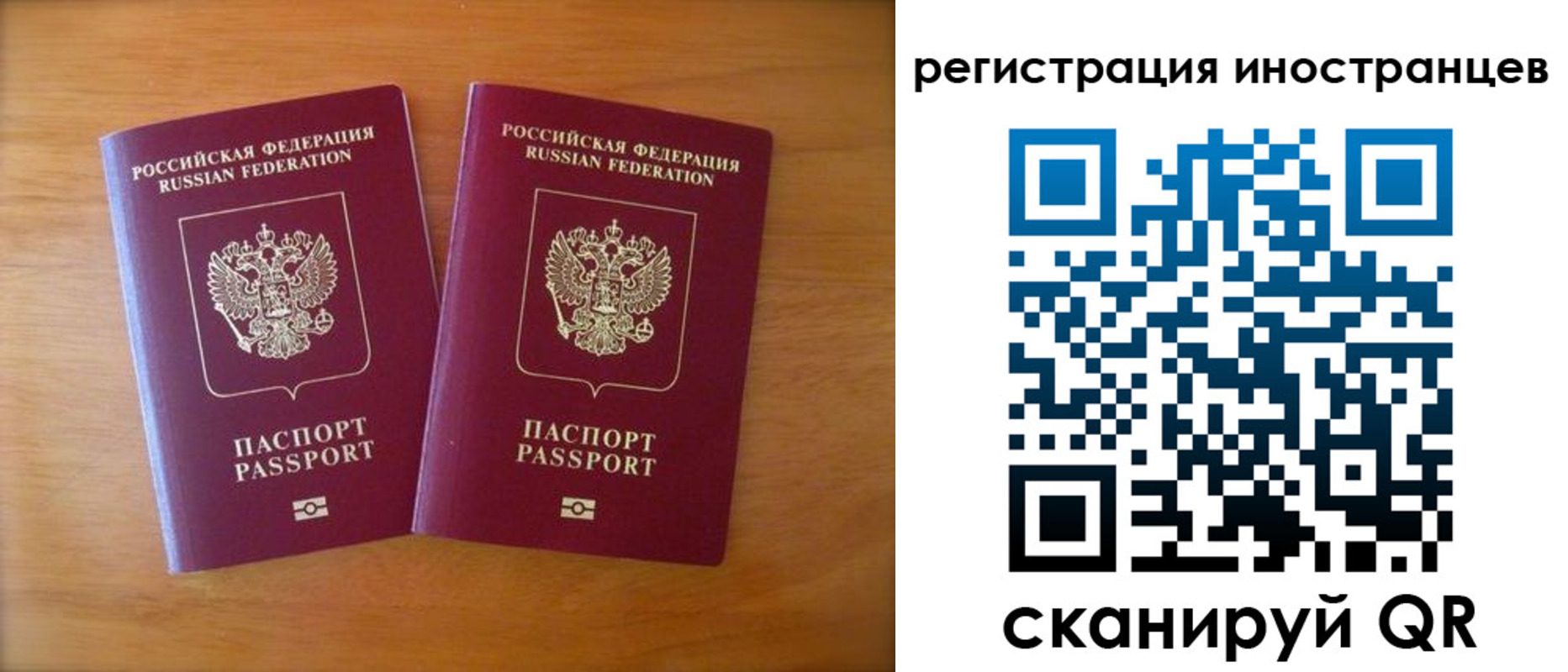 прописка поиск в Рыльске